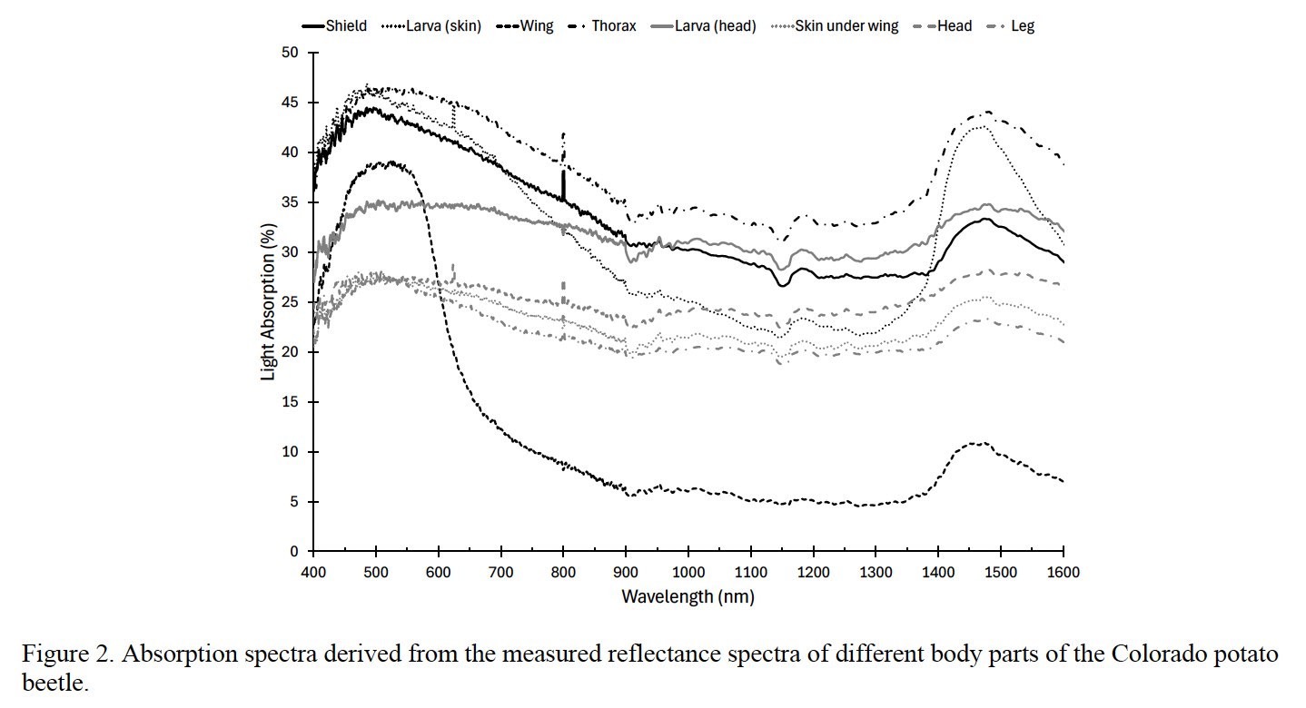 Figure 2 from the paper: light-absorption spectra (400–1600 nm) measured for different Colorado potato beetle body parts — shield, wing, thorax, head, legs, and larva skin and head.