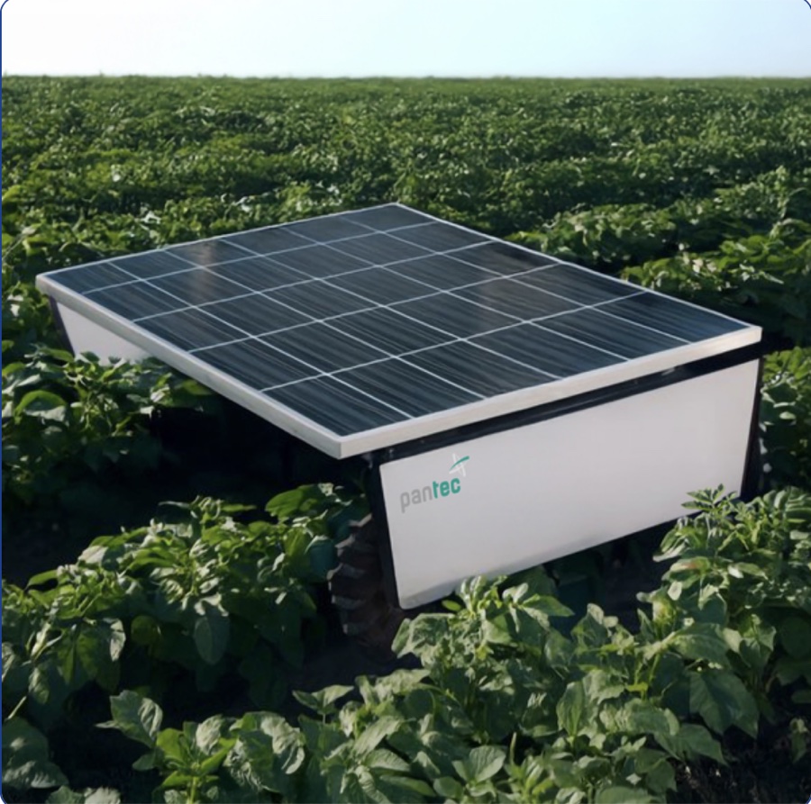 Pantec LaserFry: a small, solar-panel-topped autonomous laser cart sitting low among rows of potato plants.